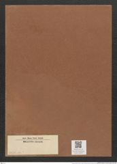 Diatomeae indet. (de-Toni-Nr.: Species 3036) Zeichnungen Sammlung Grunow Mappe 03247 (Herbarium_W_Grunow_drawings_Folder_03247)
